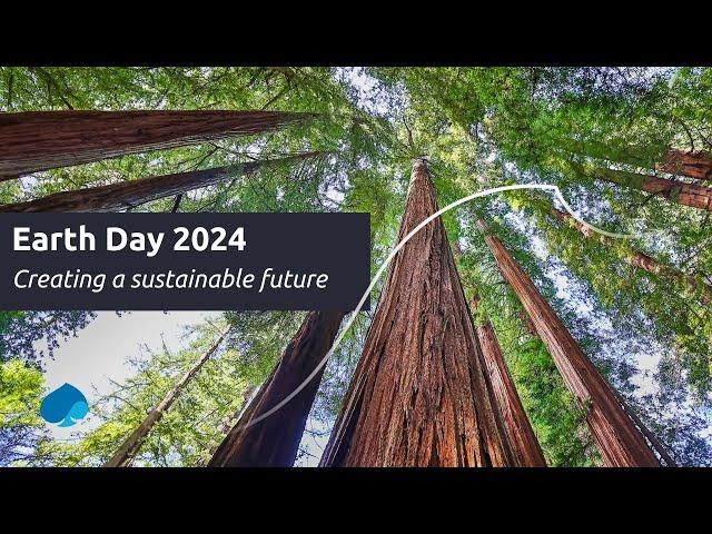 Earth Day 2024: Creating a sustainable future I Capgemini