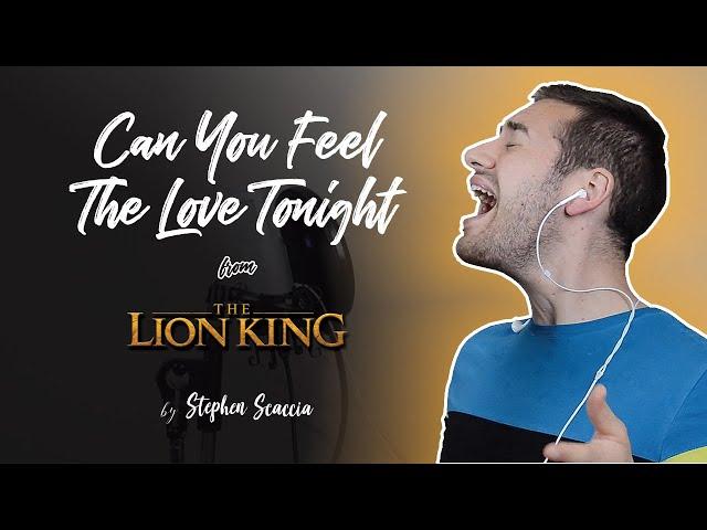 Can You Feel The Love Tonight - The Lion King (cover by Stephen Scaccia)
