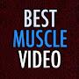 @BestMuscleVideo