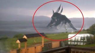5 Giant Creatures Caught on Camera