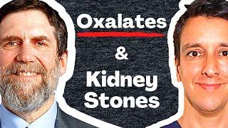 Oxalates & Kidney stones | Dr. David Goldfarb, MD