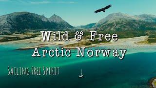 Wild & Free - Arctic Norway (Sailing Free Spirit)