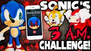 Sonic's 3 AM Challenge! - Sonic and Friends
