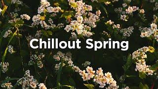 Chillout Spring Playlist  Chillout Track to Take Deep Breaths 