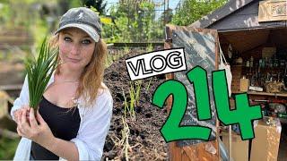 Sowing Carrots, Sweetcorn and Herbs! + Planting a Kiwi. Ep214 || Plot 37