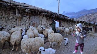 Nomadic Lifestyle Documentary: Saifullah and Arad's Journey Continues