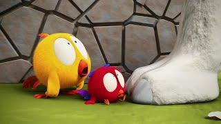 Where's Chicky? SEASON 3 | NEW FRIEND | Cartoon in English for Kids | New episodes