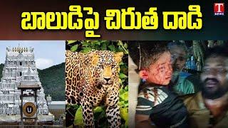Cheetah Attack Incident in Tirumala | బాలుడిపై చిరుత దాడి | Tirumala Tiger Attack | T News