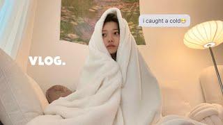 (SUB)부비동염이 뭐죠…감기걸려 강제 집순이 된 vlog