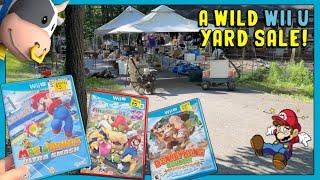 These Yard Sales Got WILD!  || YouTube Retro Video Game Hunting!