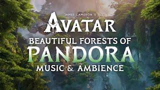 Avatar | Forests of Pandora Music & Ambience in 4K, w/ @videogameworlds