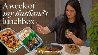 a week of husband’s lunchbox ep. 6  *easy recipes*