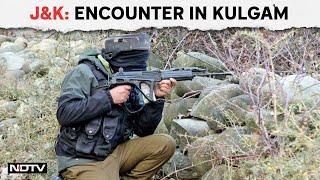 Jammu and Kashmir News | Terrorist Killed In Encounter With Security Forces In J&K's Kulgam