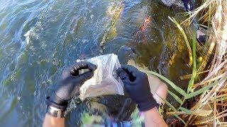 I Found a Bag of Cash Underwater in the River! (Guess How Much Money was Inside?!)