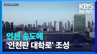 신촌·홍대만?…인천 송도에 ‘대학로’ 만든다 / KBS  2023.12.09.
