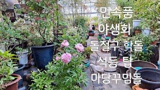 민속품/야생화/정원인테리어석물/실내인테리어민속소재/기와/옹기/옛날방문
