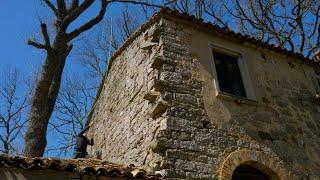 Challenging DIY top-down tree removal over home - Restoring our farmhouse in Southern Italy
