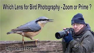 What is the best lens for Bird Photography - Olympus 100-400mm Zoom or the 300mm F4 Prime lens ?