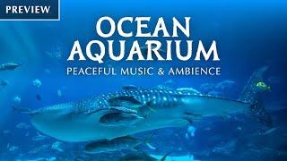  Ocean Aquarium (Preview) | Underwater Ambience with Peaceful Music for Study, Sleep, and Relaxing
