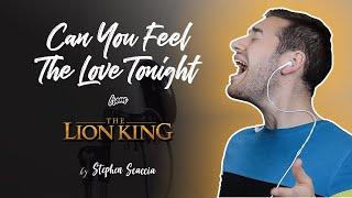 Can You Feel The Love Tonight - The Lion King (cover by Stephen Scaccia)