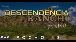 Pocho 43 - Descendencia Del Rancho