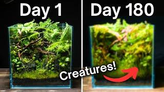 180 Days Ago I Made an Ecosystem.. This Happened!