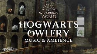 Harry Potter | Hogwarts Owlery Music & Ambience, Peaceful and Relaxing Scenes with Day/Night Cycle 