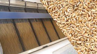 Seed Processing Plant - AKY Technology