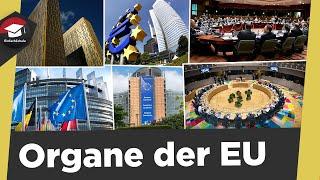 Organe der EU - Europäische Institutionen - Aufgaben, Merkmale, Sitz - Organe der EU erklärt!