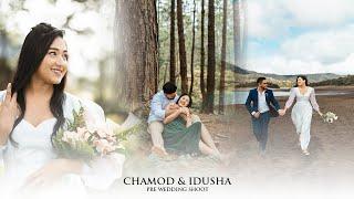CHAMOD & IDUSHA PRE WEDDING SHOOT | Studio shades